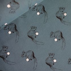 Sweat squirrel bleu