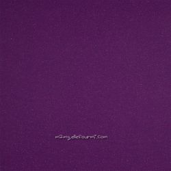 Bord-côte violet lurex violet
