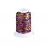 Fil mousse Wooly Nylon multicolore vif