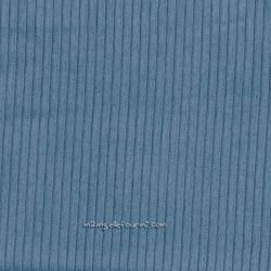 Velours grosses côtes bleu/gris