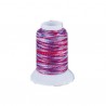 Fil mousse Wooly Nylon multicolore cocorico