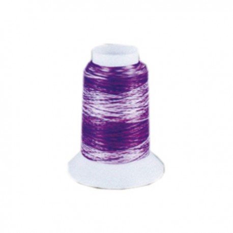 Fil mousse Wooly Nylon multicolore violet