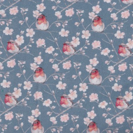 Coton linotte