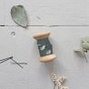 Biais seed cedar