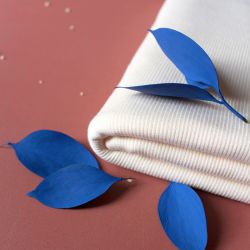 Bord-côte bleu clair