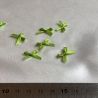 Déco petit nœud satin vert