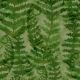 Jersey bio digital ostrich fern vert forêt