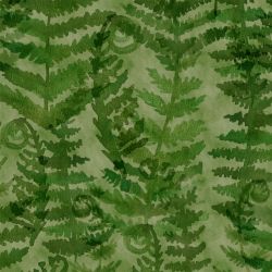 Jersey bio digital ostrich fern vert forêt