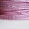 Passepoil scintillant rose clair