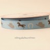 Ruban Riley Blake western